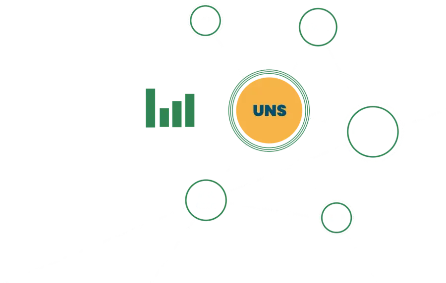 UNS Spider Schema Logo